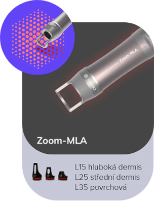 aplikator Zoom-MLA